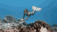 Mermaid H2o GIF - Mermaid H2o Underwater GIFs