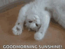 Sunshine Good Morning GIF - Sunshine Good Morning Love GIFs