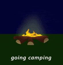 Campfire Camping GIF - Campfire Camping Firewood GIFs