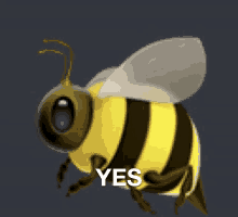 Bee Yes GIF - Bee Yes GIFs