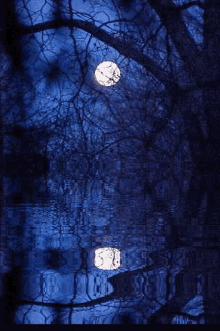 Moon Water GIF