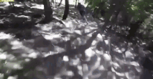 Poor Downhill GIF - Poor Downhill Crash GIFs