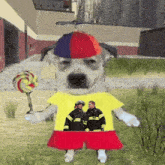 a dog wearing a yellow shirt and red shorts is standing next to two firemen