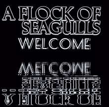A Flock Of Seagulls Welcome GIF