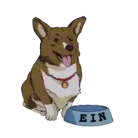 a brown and white dog is sitting next to a blue bowl with the name ein on it
