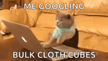 Cat Typing GIF - Cat Typing Typing On Computer GIFs