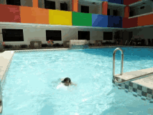 Swimming Swimming Pool GIF - Swimming Swimming Pool Reverse GIFs