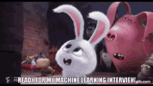 interview machine learning rabbit secret life of pets snowball