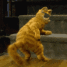 Garfield Dance GIF - Garfield Dance Moves GIFs