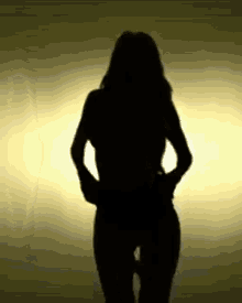 Silhouette Sexy GIF - Silhouette Sexy Iggydr GIFs
