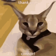 Thank You Connor GIF - Thank You Connor GIFs