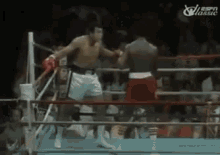 Muhammad Ali Embarrassing Opponent GIF - Muhammad Ali Boxing Funny GIFs