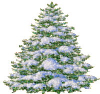 a christmas tree with snow on it 's branches on a white background