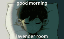 Room Lavender GIF - Room Lavender Morning GIFs
