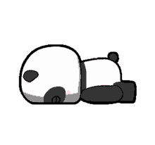 panda tired
