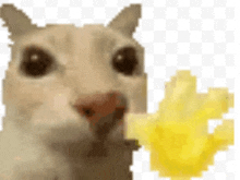 a hamster is eating french fries on a white background .