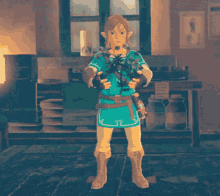 Zelda GIF - Zelda GIFs