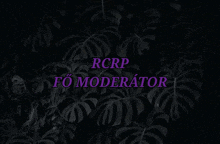 Rcrp Mod GIF - Rcrp Mod GIFs