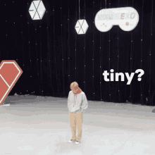 Tiny Confirmed GIF - Tiny Confirmed Small GIFs