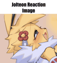 Jolteon GIF