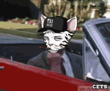 a cat wearing a hat that says 130 bujo smoking a cigar