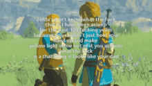 Zelda Link GIF - Zelda Link Frog GIFs