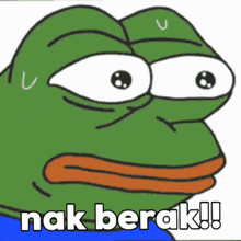 a cartoon frog with the words nak berak written on the bottom