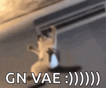 a cat is hanging from a ceiling with the words gn vae written above it