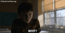 Why Huh GIF - Why Huh I Dont Get It GIFs