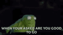 Are You Good To Go Kermit GIF - Are You Good To Go Kermit No I Am Not Good GIFs