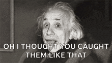 Einstein Silly Face GIF - Einstein Silly Face Tongue Out GIFs