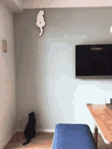 Funny Animals Cats GIF - Funny Animals Cats Pets GIFs