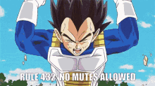Rule 432 GIF - Rule 432 Goku GIFs