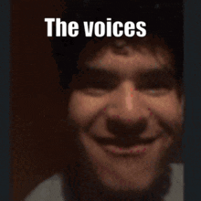The Voices Alan GIF - The Voices Alan Sonic GIFs
