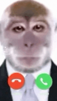a close up of a monkey wearing a suit and tie talking on a cell phone .