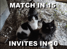 Match In 15 Invites In 10 Faheen Fhn Chat GIF - Match In 15 Invites In 10 Faheen Fhn Chat GIFs