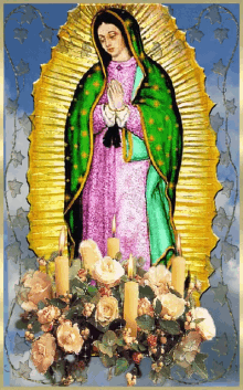Guadalupe GIF - Guadalupe GIFs