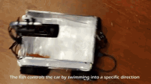 a fish is swimming into a specific direction