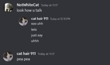 a screenshot of a chat between notwhitecat and cat hair 911 today at 11:17