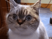 Give Em... The Eyes!! GIF - Eyes Stare Scary GIFs