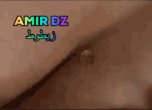 Amirdz Zitout GIF - Amirdz Zitout زيطوط GIFs
