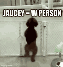 Jaucey W Person GIF - Jaucey W Person Blzd GIFs