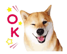 Shiba Inu Ok GIF - Shiba Inu Ok Dog GIFs