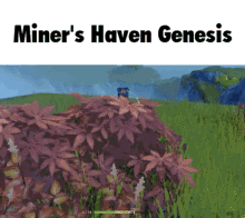 miners genesis