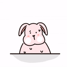 ear rabbit
