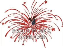 Fireworks America GIF - Fireworks America American Flag GIFs