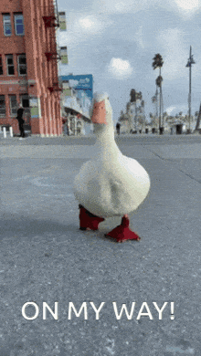 a duck wearing red shoes is walking on a sidewalk with the words " on my way " written below it