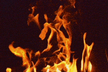 a close up of a fire in the dark