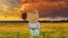 a cartoon bear is standing in a field with the letter m written on the bottom