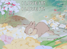 Love Disney GIF - Love Disney Rabbit GIFs